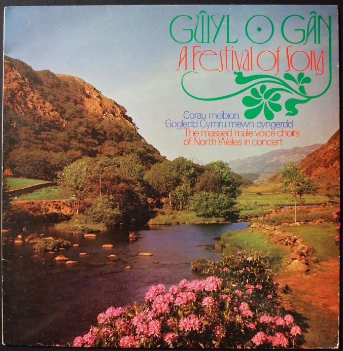 3316435697_5003b1182d_o