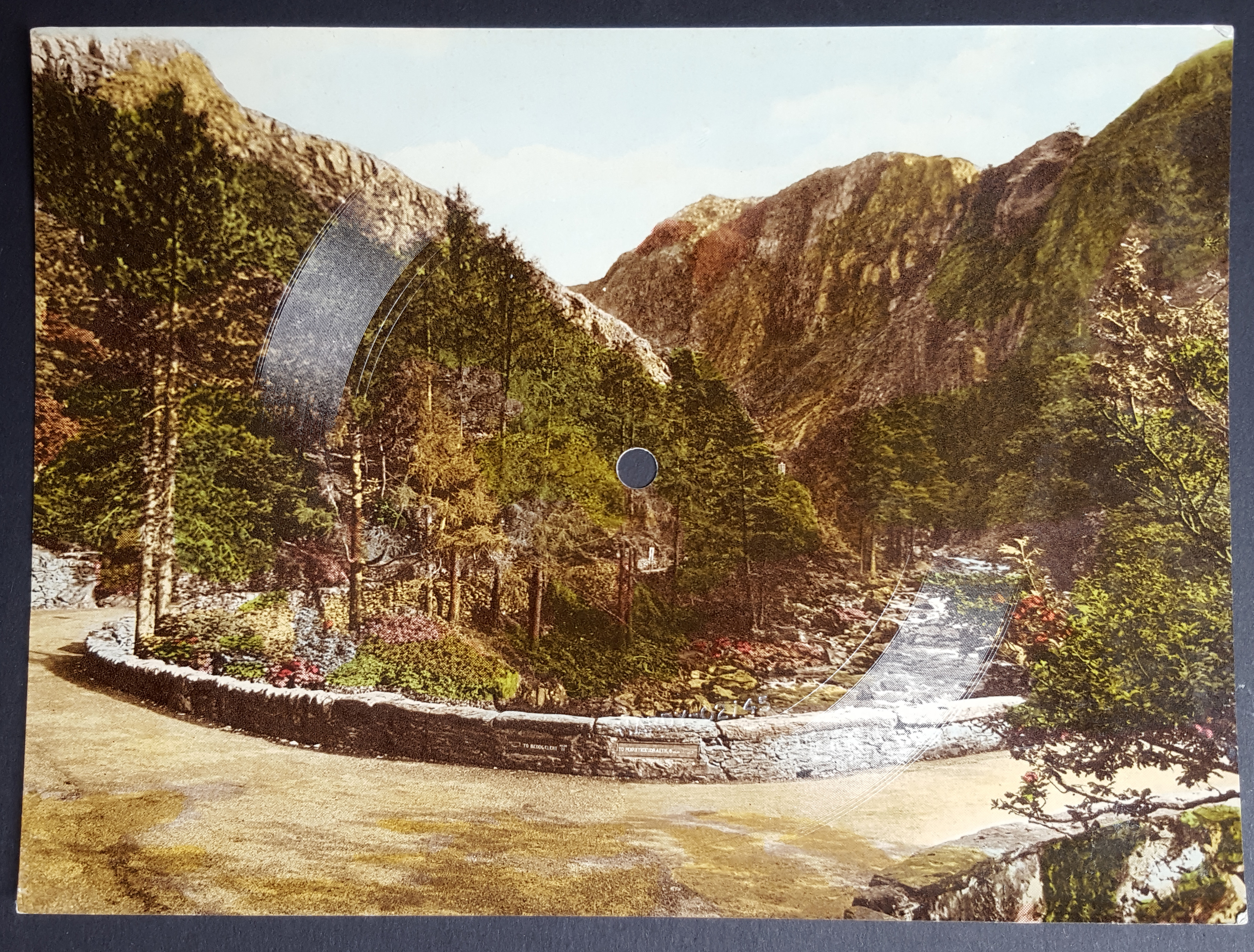 33455308416_a1f52ef1db_o